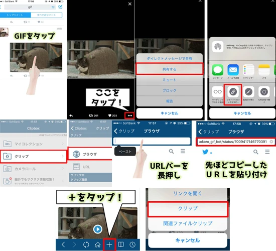 サイトにあるGIFを保存するにはどうすればいいですか？ - ITチュートリアル