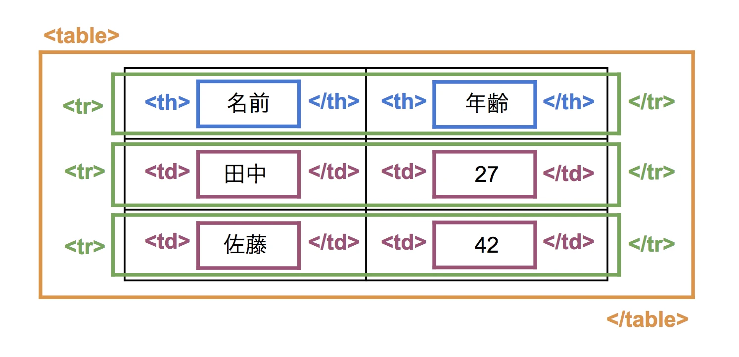 HTMLの表とセル - ITチュートリアル